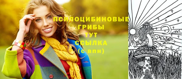 МДПВ Лагань
