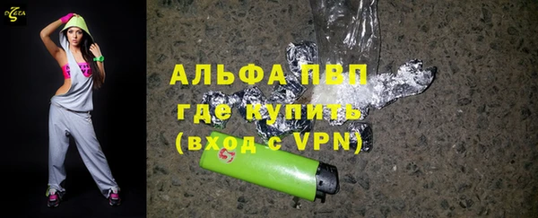 твердый Ладушкин