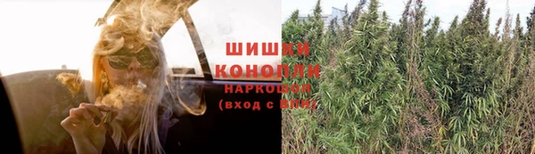 мдпв Лабытнанги