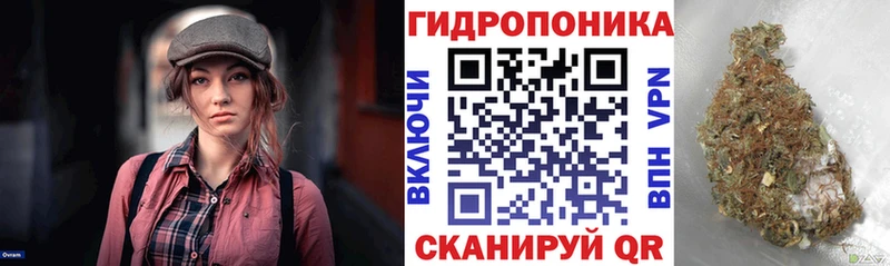darknet официальный сайт Микунь Канабис конопля